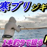 誕生！最高級の能登寒ブリ「煌」を狙って８時間ジギングした結果