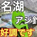 まだ釣れる！浜名湖のアジのサビキ釣りが楽しすぎる！　#新居海釣り公園 #浜名湖 #アジ釣#サビキ#浜名湖釣り#サビキ