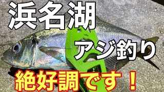 まだ釣れる！浜名湖のアジのサビキ釣りが楽しすぎる！　#新居海釣り公園 #浜名湖 #アジ釣#サビキ#浜名湖釣り#サビキ