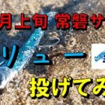 【１２上旬 常磐サーフ】サリュー投げてきました！