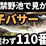 【バス釣り】釣り禁野池の親子バサー【警察、検察関係者へ伝えたい】