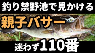 【バス釣り】釣り禁野池の親子バサー【警察、検察関係者へ伝えたい】