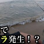 【サーフヒラメ】ナブラの正体はまさかの…