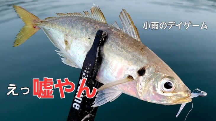 【アジング】油断禁物デイアジング。まさかの所でデカアジが喰いあげてきた。。