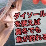 【まだまだ釣れる】ダイソールアーを持ってシーバス釣りに行ってきました（三重県四日市）