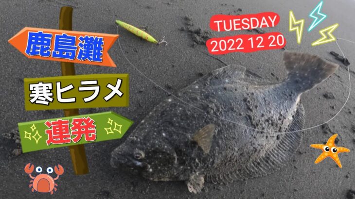 【鹿島灘サーフ】ヒラメ連発！久々のレギュラーサイズが来た🎣