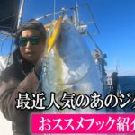 冬の大型青物シーズン始まりました！【伊勢湾ジギング】