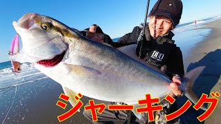 【ヒラメ&青物】サーフで釣れる、ジャーキングのやり方。