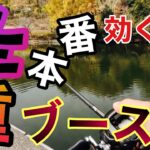 【バス釣り】冬到来！！厳しくなってもコレで釣れる!!