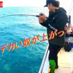 【ジギング】底から上がってきたのはバケモノ級⁉これがあるから魚釣りはやめられない(^^)/