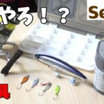 セリアの新釣り具がやらかした件について。