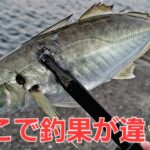 【アジング】デカアジ狙い。釣れてる時間にすべき事