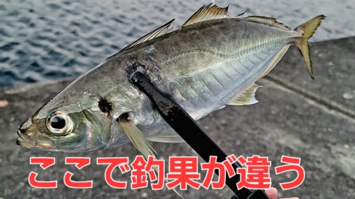 【アジング】デカアジ狙い。釣れてる時間にすべき事