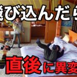 【絶叫】みっぴにドッキリを仕掛けたら予想以上の反応が‼️