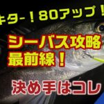 【冬 シーバス】夜の大河川で狙うランカーシーバス攻略 最前線｜決め手はコレ！