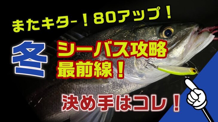 【冬 シーバス】夜の大河川で狙うランカーシーバス攻略 最前線｜決め手はコレ！