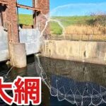 冬の温排水で巨大投網を投げたらありえない魚が？？