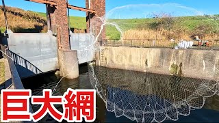 冬の温排水で巨大投網を投げたらありえない魚が？？