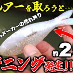 まさかの事態！木の枝のルアーを救出しようとしただけなのに…【バス釣り】