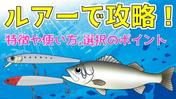 【解説動画】シーバス釣りはルアーで攻略！初心者向けに種類別の特徴と選び方をご紹介！