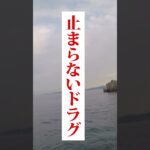 イカが釣れる誘い方 #エギング