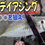 初冬デイアジング！夜に釣れない？なら昼間に鯵釣れば良いんじゃね？日中は○○が釣れる