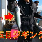 明石の海は魚の宝庫『明石沖五目ジギング』