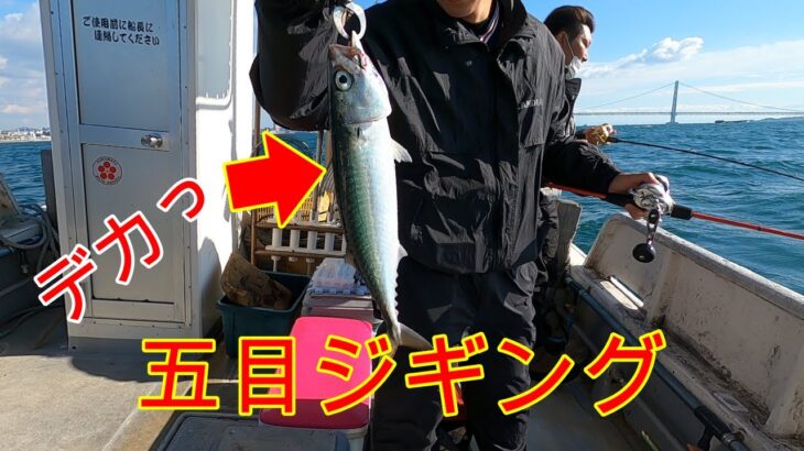 明石の海は魚の宝庫『明石沖五目ジギング』