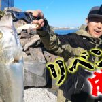 有明海シーバス釣行リベンジで約束の…