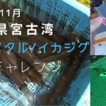 【イカメタル/イカジグ】▶岩手県　宮古湾　秋のオフショアイカ釣り