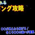 有料級！冬エギングはどう狙えば釣れる？夜でも目に見える潮の〇〇が重要でほんのちょっとで変わる冬イカ攻略法