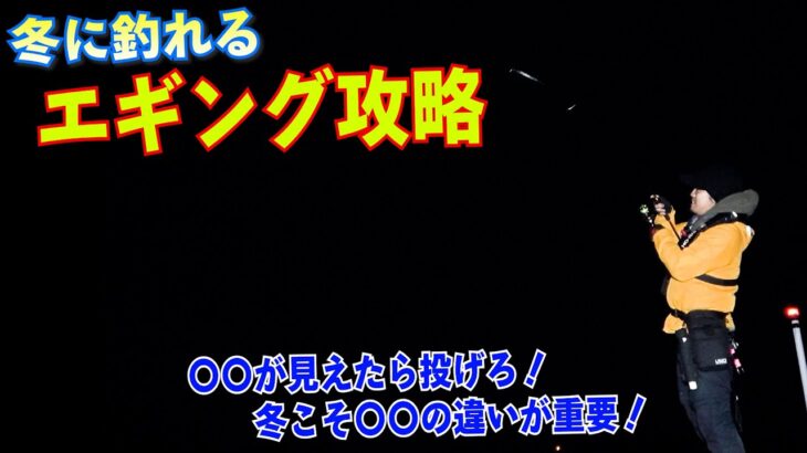 有料級！冬エギングはどう狙えば釣れる？夜でも目に見える潮の〇〇が重要でほんのちょっとで変わる冬イカ攻略法