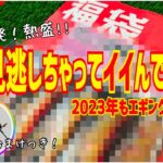 【エギング】福袋速報！実釣おまけつき ★限定カラー発売★ 重大発表！！