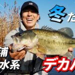 【宮嶋駿介】冬こそデカバス【霞ヶ浦・北浦水系】