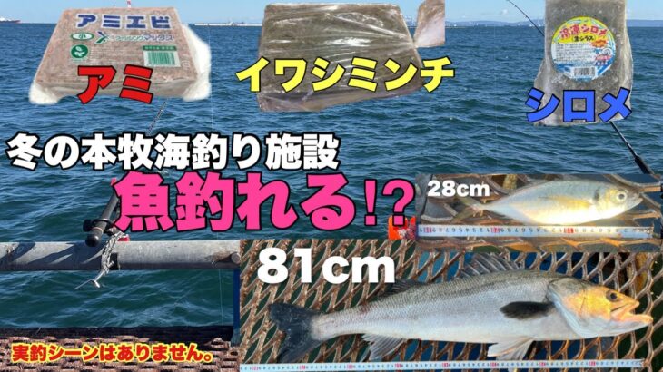 【本牧海釣り施設】冬のサビキ釣り!餌の有効性は？冬は大型魚が狙える!! │ 魚釣り-youtebe動画まとめリンク - UnnameD File 360 730x410