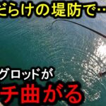 突如、堤防で爆沸きした青物祭りにエギングタックルで挑むと竿がブチ曲がる。【堤防】