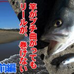 遠州灘サーフでシーバスが・・・やばい釣れる