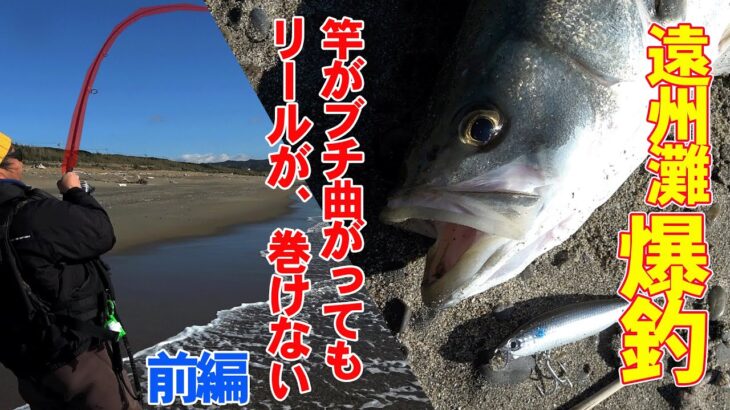 遠州灘サーフでシーバスが・・・やばい釣れる