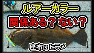 ルアーカラーは釣果に本当に影響するのか？？