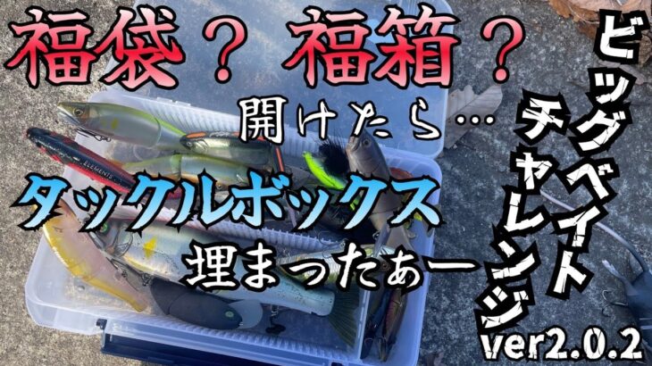 【バス釣り】福袋…福箱開封します！ハスフラットが欲しかったんだけど…中のビッグベイトが色々ヤバいです。 プチ鳶