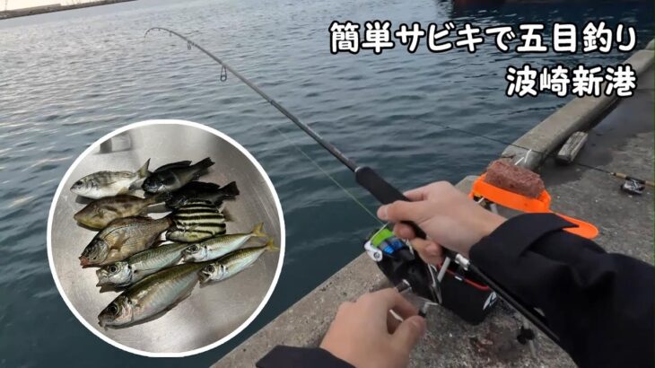 【波崎新港】堤防でサビキ釣り、いろんな魚が釣れた…！！【茨城県】【トリックサビキ】