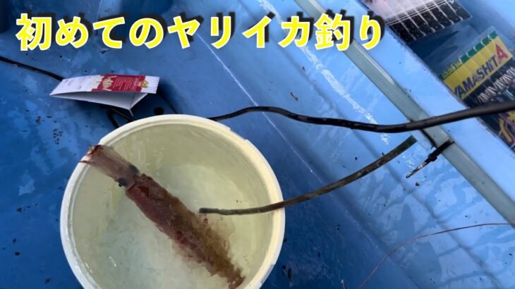 【ヤリイカ釣り】初めてのイカ釣り船〜シャクって巻いて巻いてシャクって【プラヅノ】【三浦】【冬のイカ釣り】【東京湾】