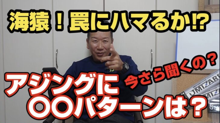 【アジング】【海猿】今更聞けない！アジングに〇〇パターンはあるの？【ベイトパターン】