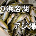 【サビキ釣り】冬の堤防でアジが爆釣【浜名湖・新居海釣り公園】