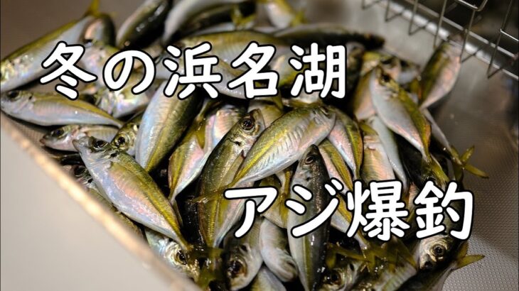 【サビキ釣り】冬の堤防でアジが爆釣【浜名湖・新居海釣り公園】