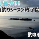 [イカ釣り] 浮きが沈む瞬間を見て興奮！！