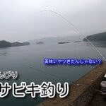 【堤防サビキ釣り】意外と美味い！脂の乗った魚を求めて