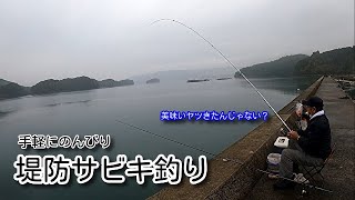 【堤防サビキ釣り】意外と美味い！脂の乗った魚を求めて