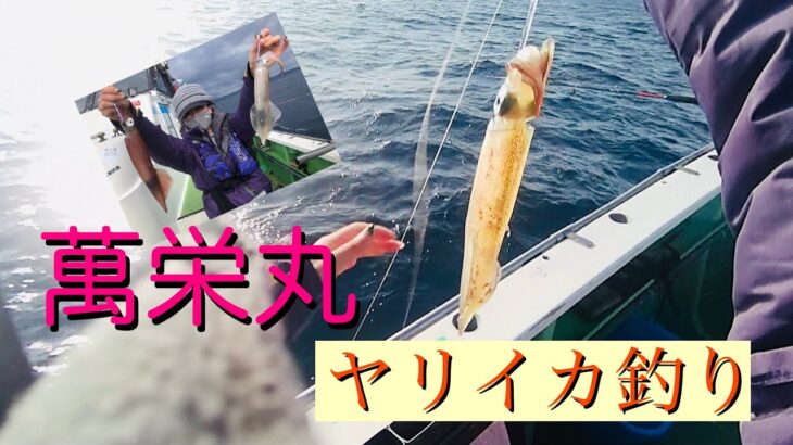 ヤリイカ釣り【中乗りさん指導付き】初めましてのお魚登場