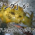 「エギング」という言葉が生まれる前のイカ釣り